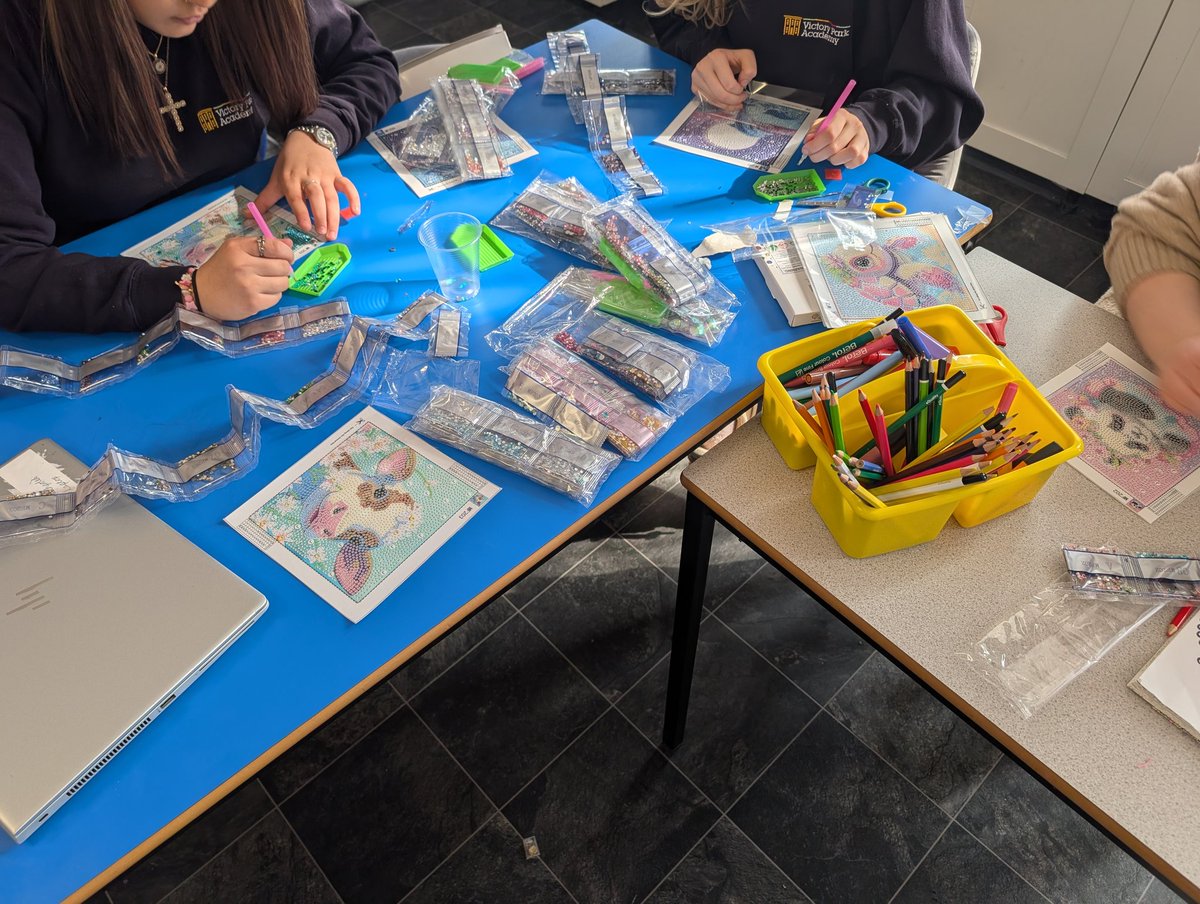 _VictoryPark_'s tweet image. For the girls group this week we did some diamond art, paint by numbers and a bit of baking making apple crumble and chocolate cakes. #girlsgroup #vpa #buildingrelationships