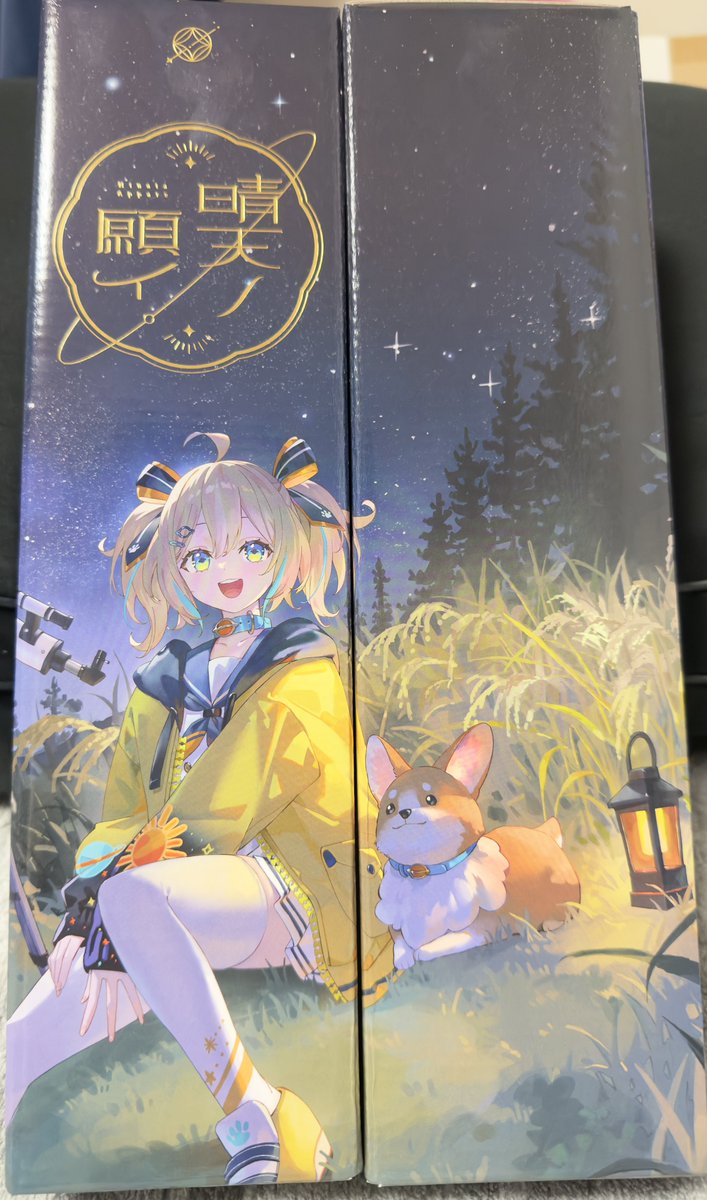 Keima🎣🌙🎧🔧☔️🐬🌟🚀🦈🫧🪼☁💀👅 tweet media