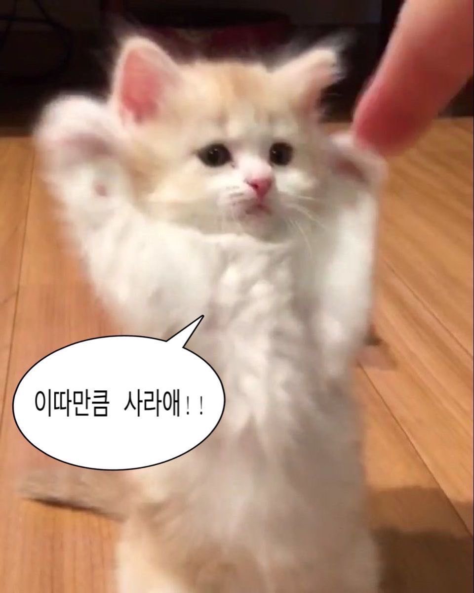 Boolean_부릉 tweet media