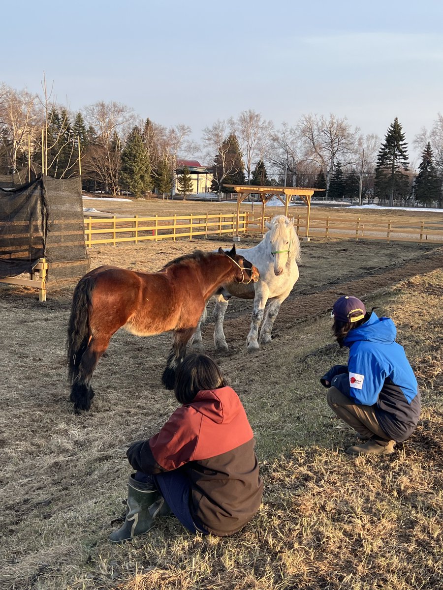 馬車BAR【公式】 tweet media