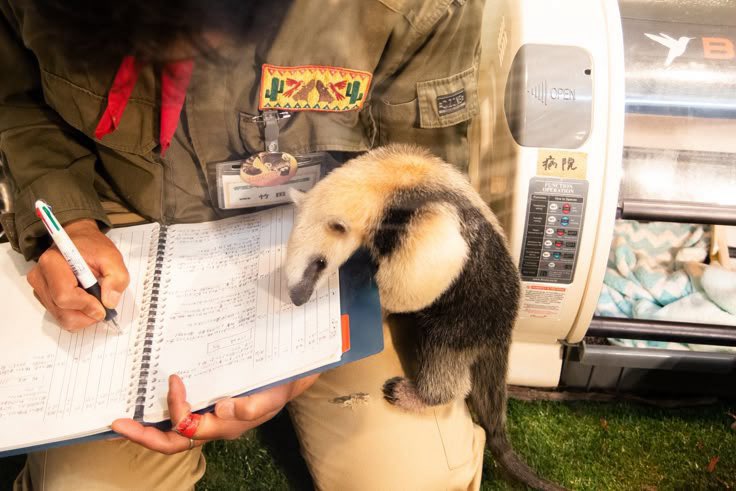 cav empty tweet media