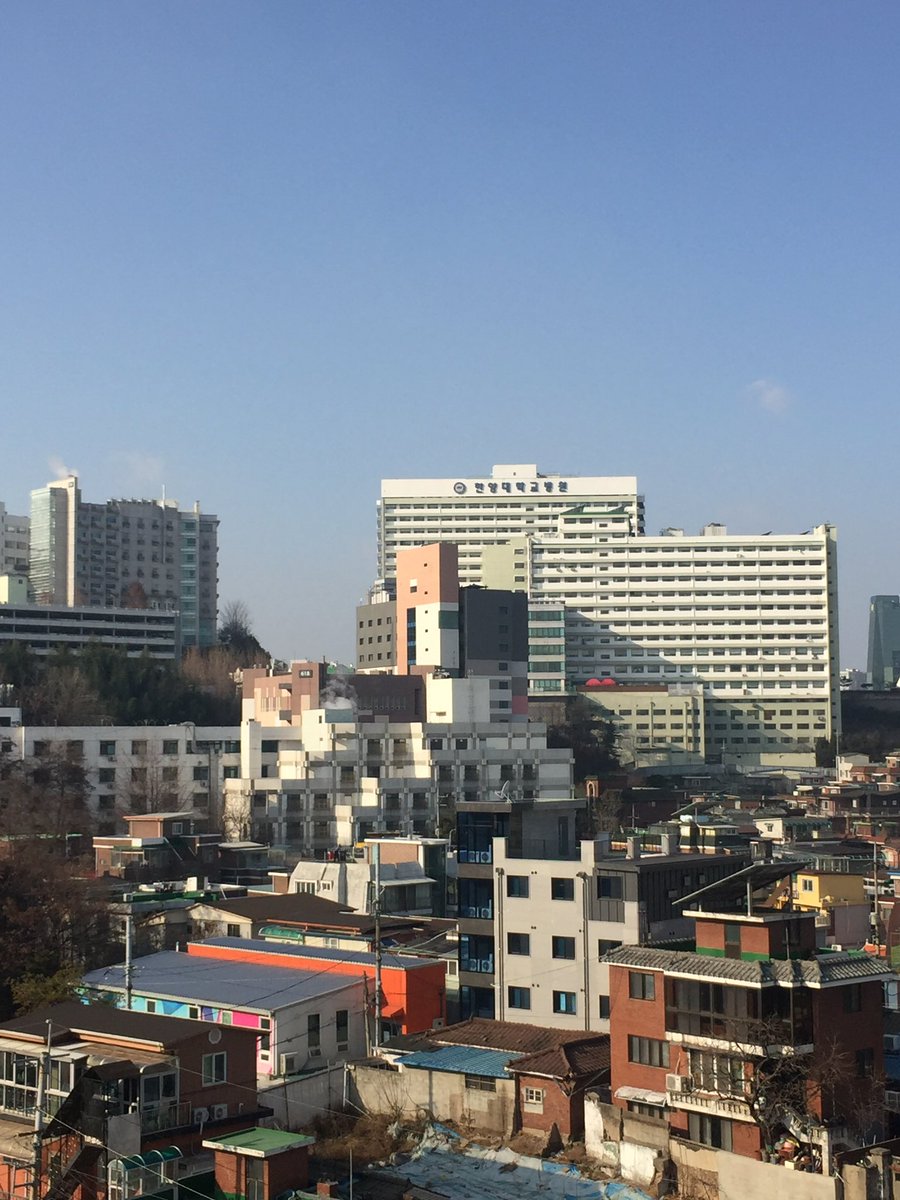 san🐦⬛✨ tweet media