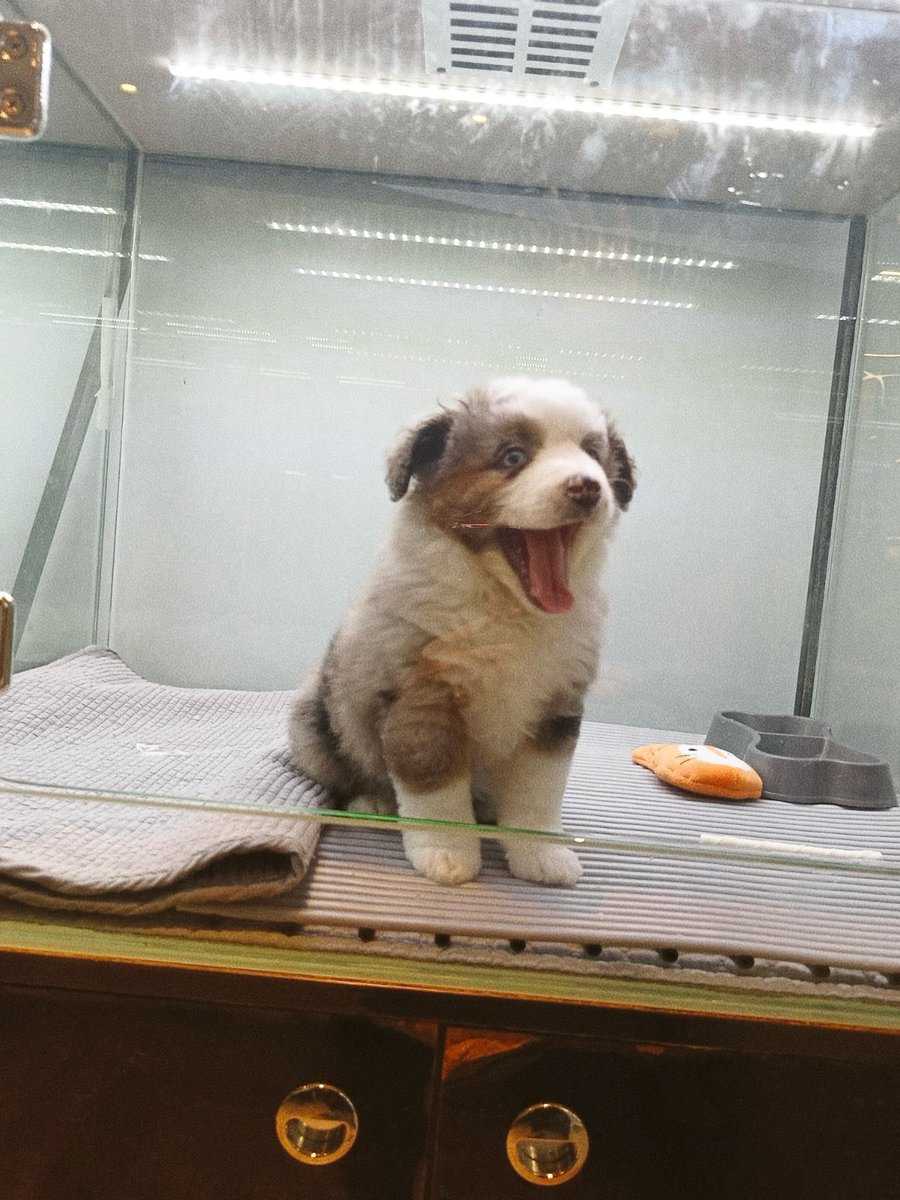 James Reid ❤ BTS tweet media