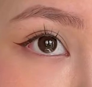 awca loves wonwoo| fb tweet media