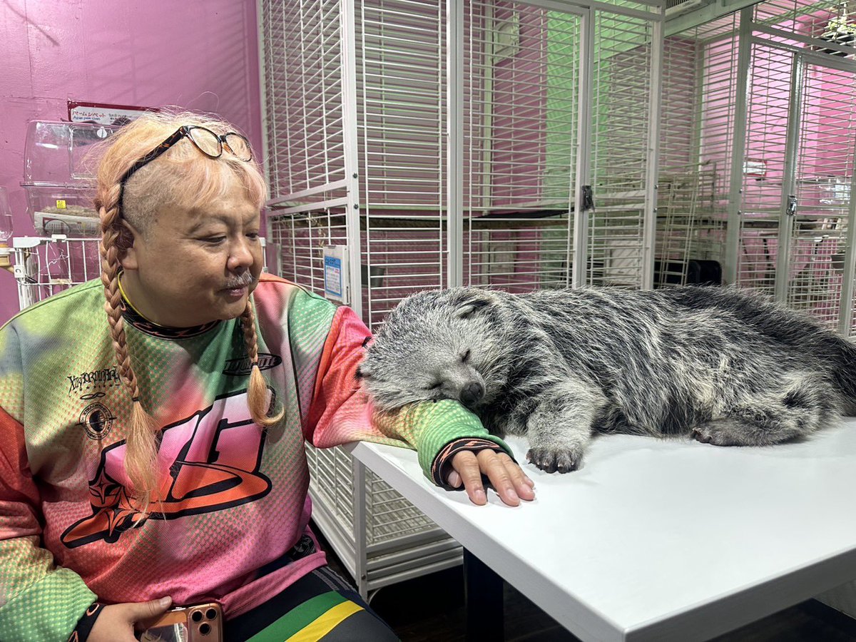uku831's tweet photo. むちゃくちゃ可愛い。 https://t.co/t0bcHftacM