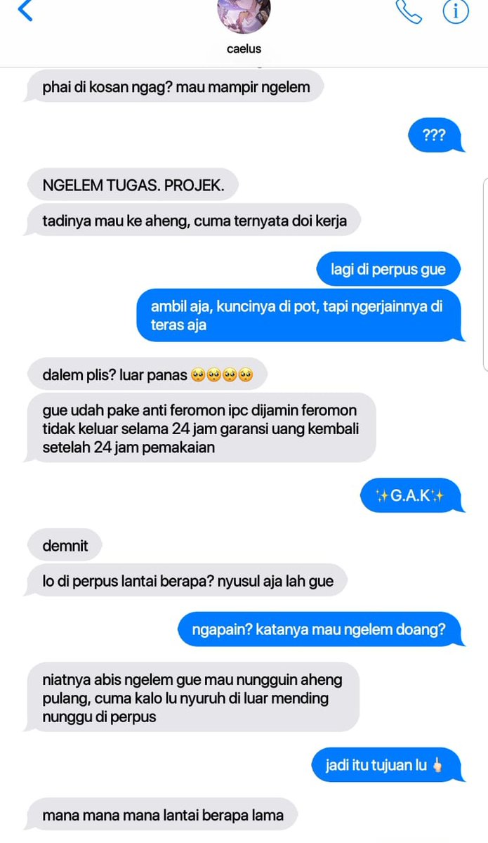 binnie 🐾 tweet media