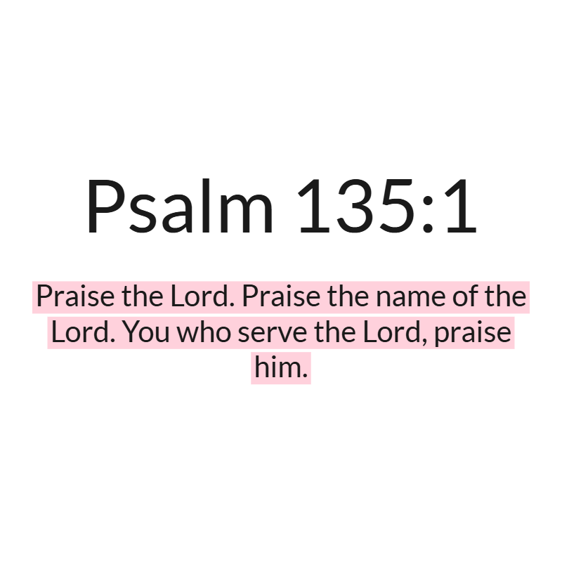 Jesus Insight tweet media