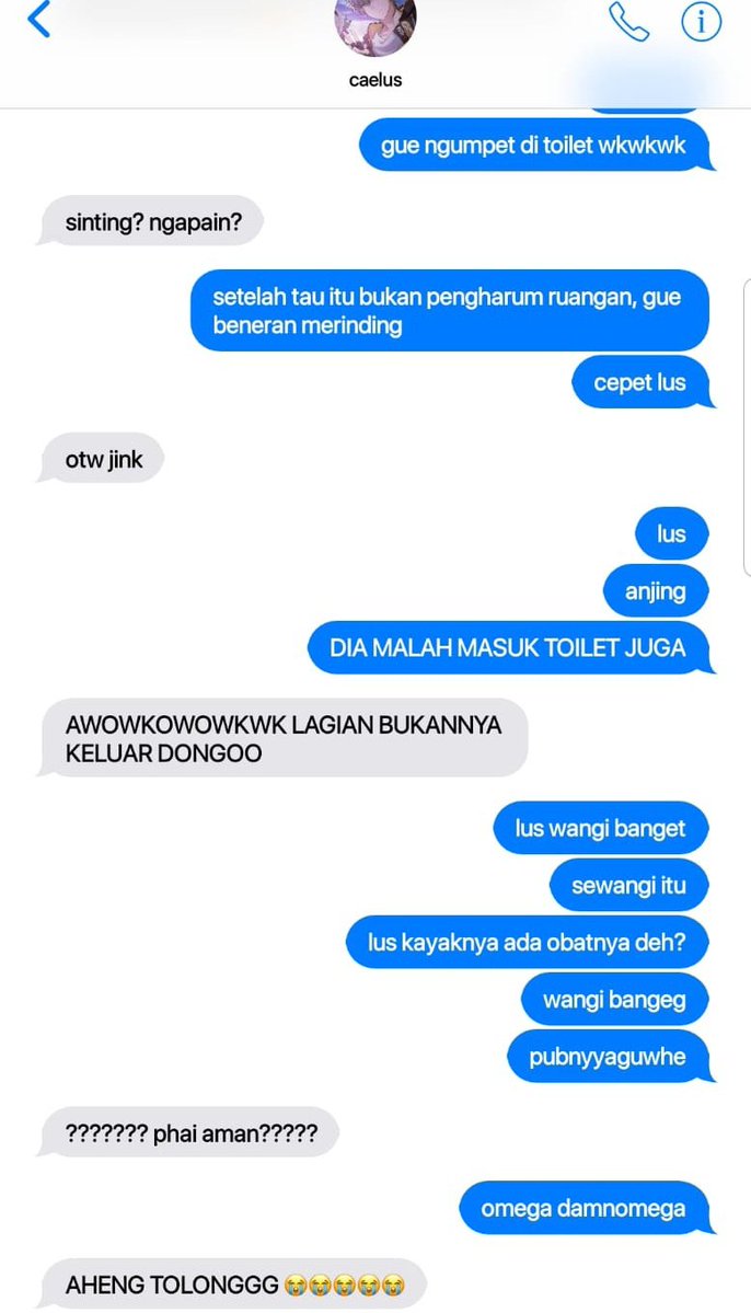 binnie 🐾 tweet media