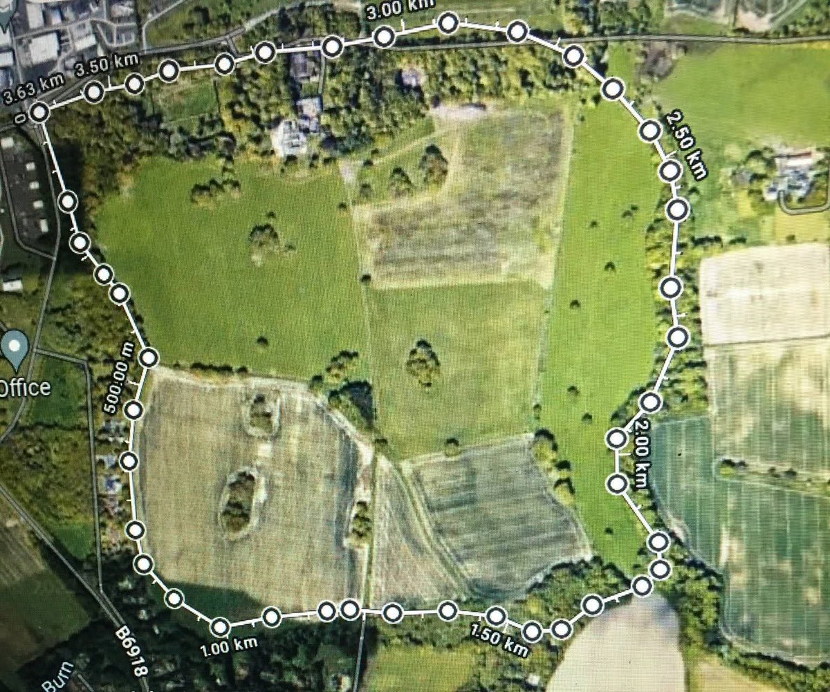 Magpie 24/7 tweet media