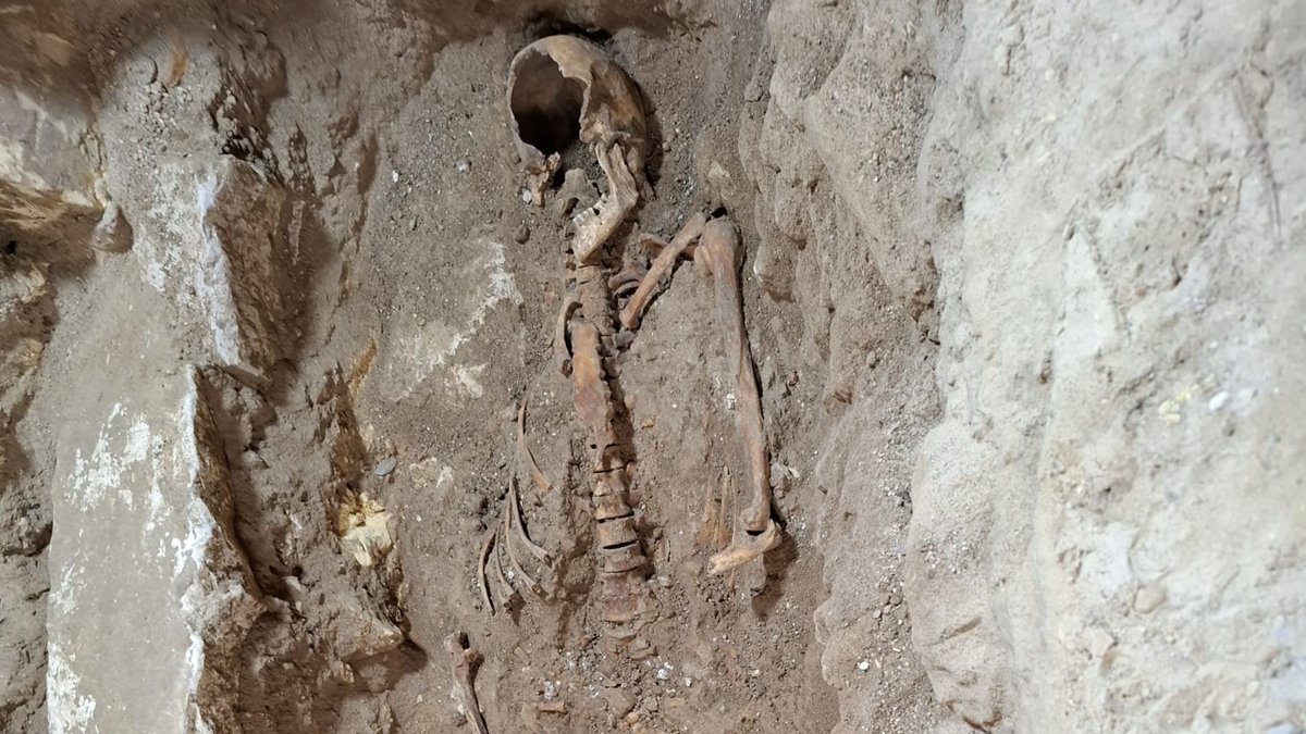 JulienWilmart's tweet photo. Le corps de d’Artagnan, le vrai, aurait été retrouvé !

Des fouilles archéologiques auraient mis au jour la potentielle sépulture du célèbre Mousquetaire.
Faisons le point sur les découvertes historiques et les hypothèses liées à l'emplacement de sa tombe

https://t.co/JMcyw1idv5 https://t.co/n4riM1wTUx