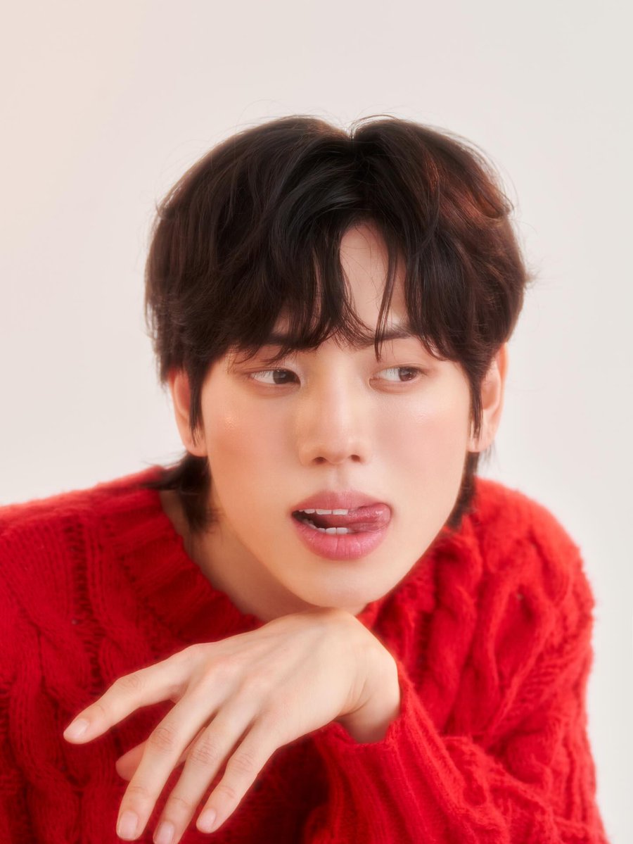 INFINITE INFO tweet media