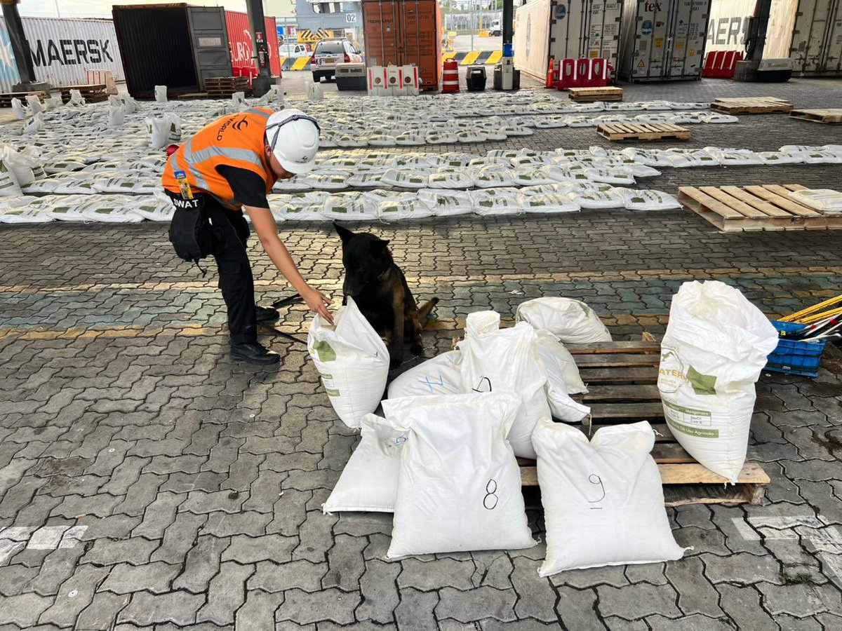 John Reimberg tweet media