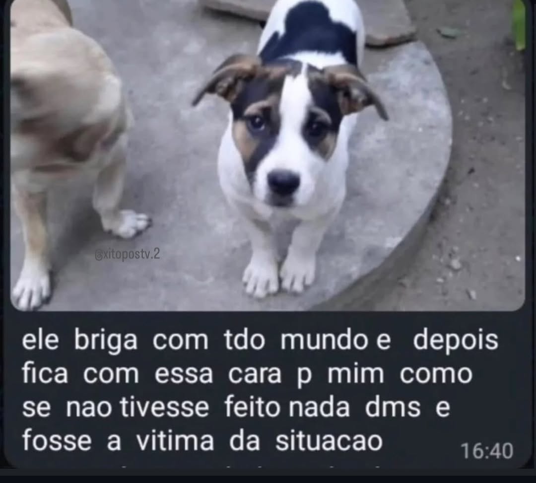 Frases em baixa qualidade tweet media