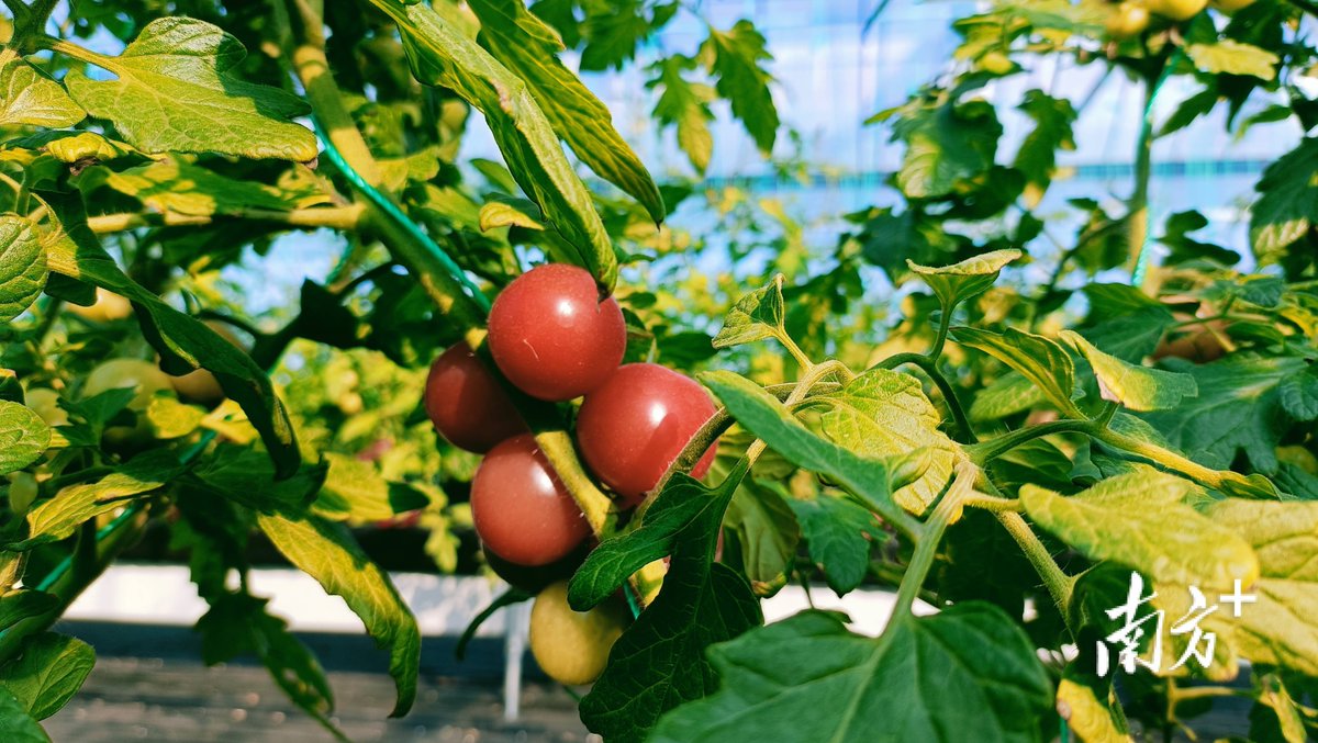 Lou Anne tweet media