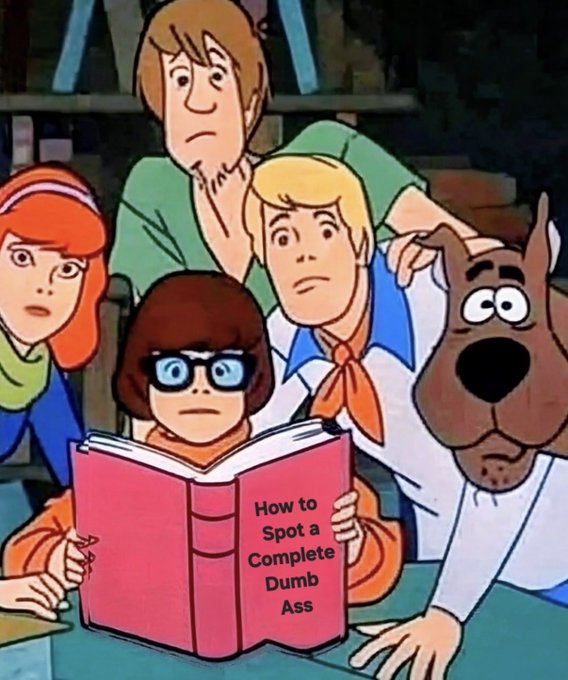 Scuba Steve tweet media