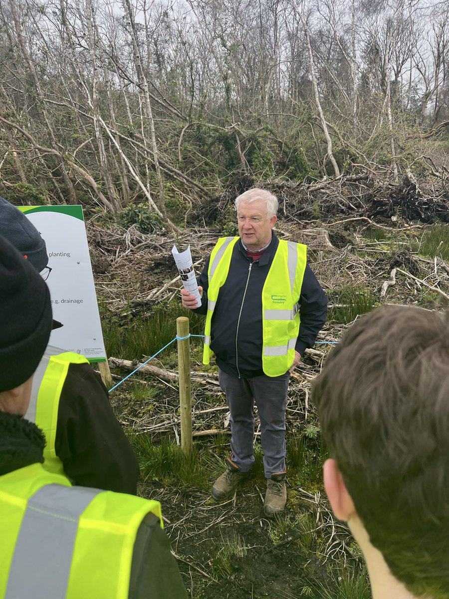 Amy Mulchrone tweet media