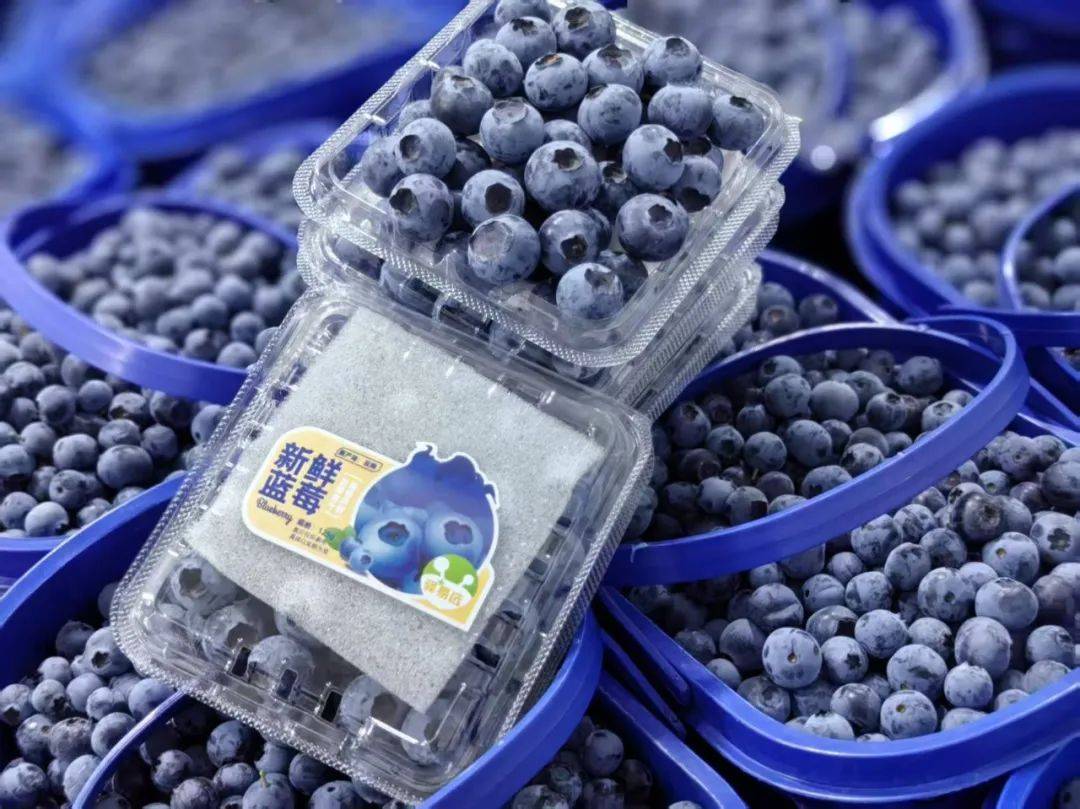 egi kuonen tweet media