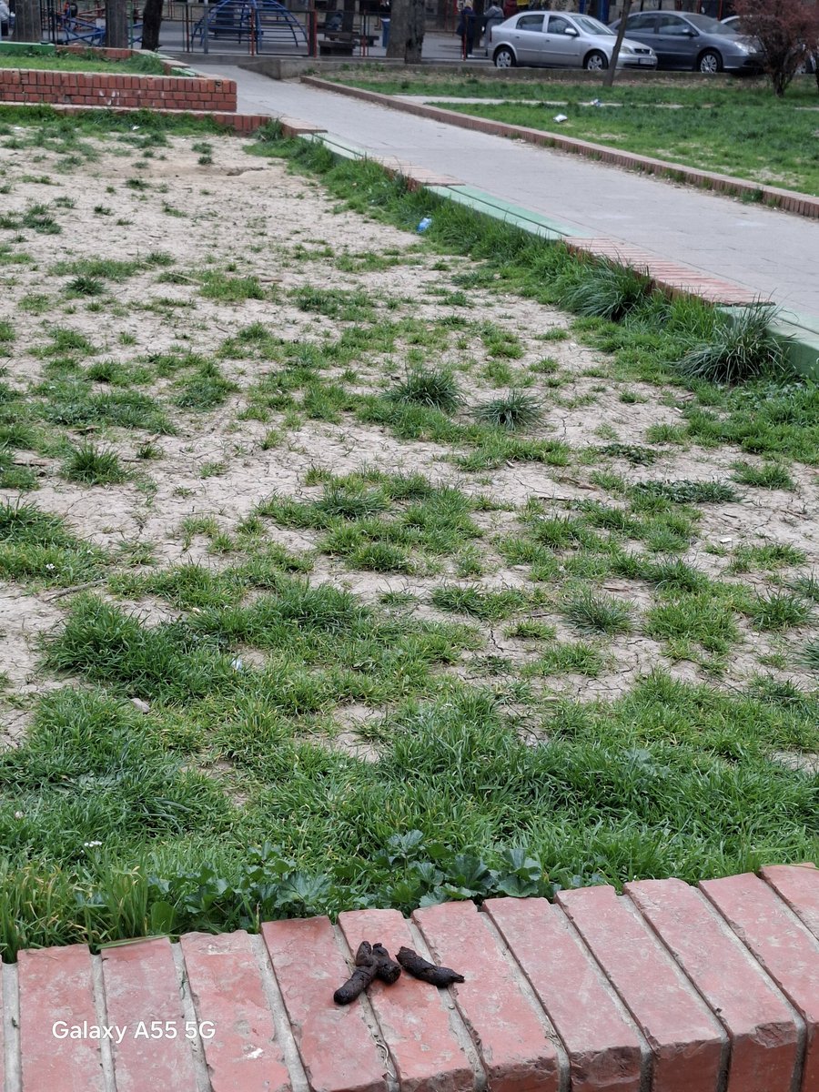 Antonela Riha tweet media