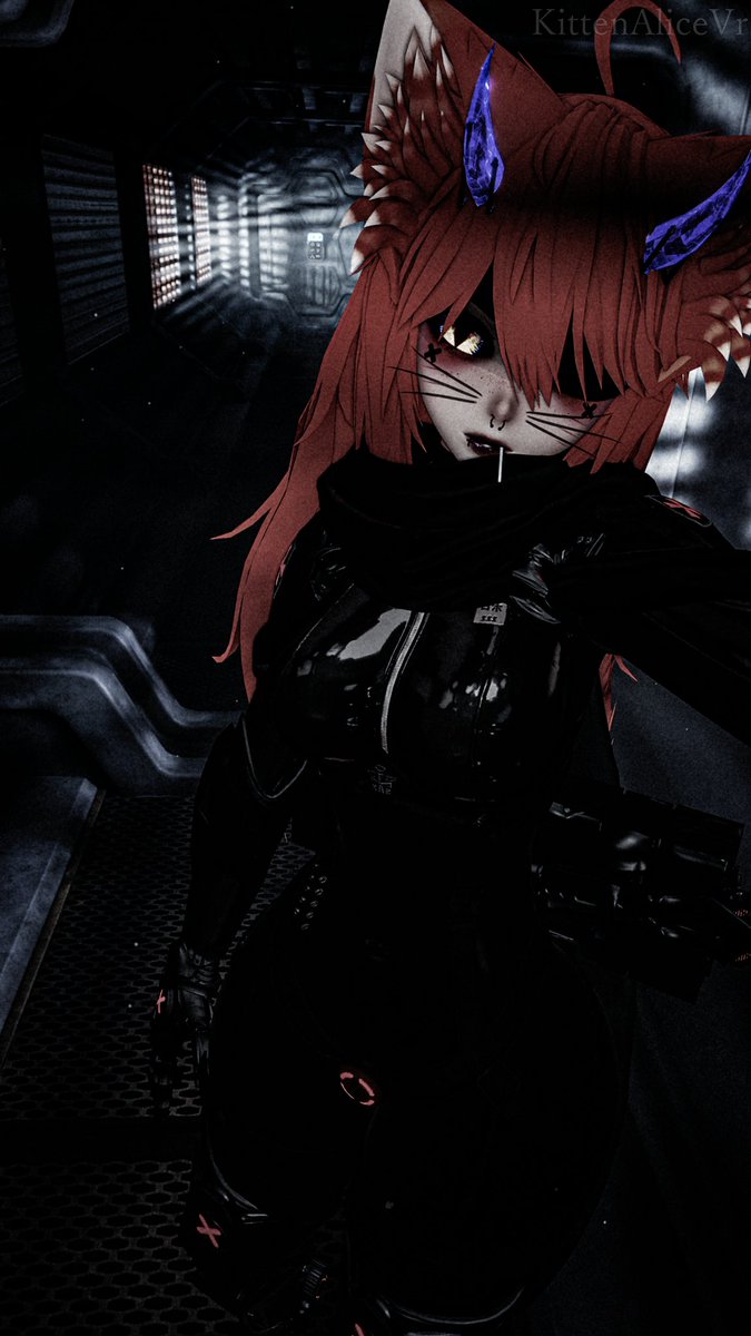 KittenAlice tweet media