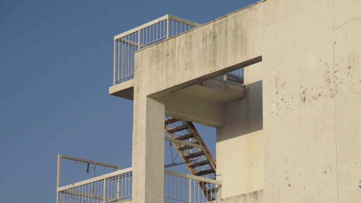 小魚補給 tweet media