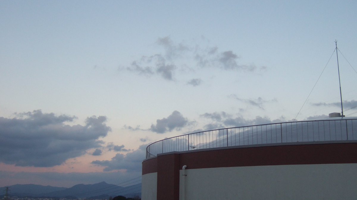 小魚補給 tweet media