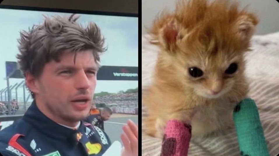 nin 🍮 tweet media