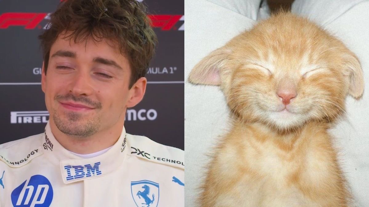 nin 🍮 tweet media