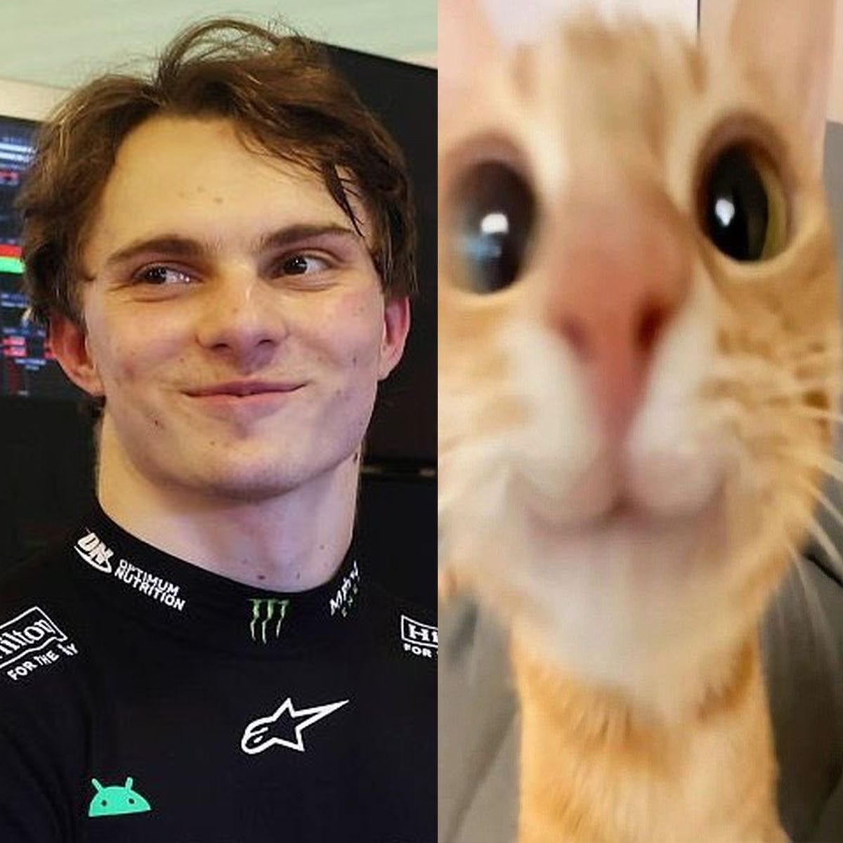 nin 🍮 tweet media