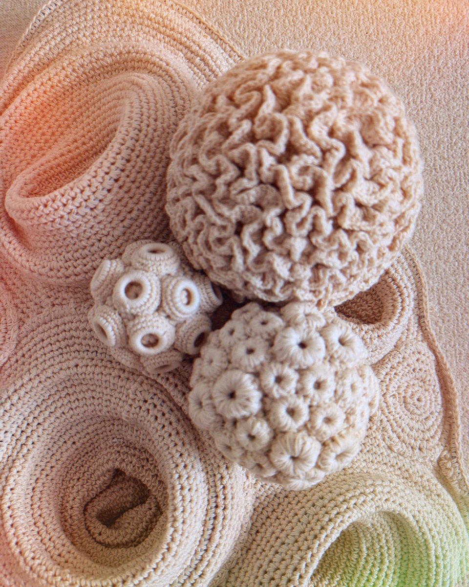 山口三輪 Miwa Yamaguchi tweet media