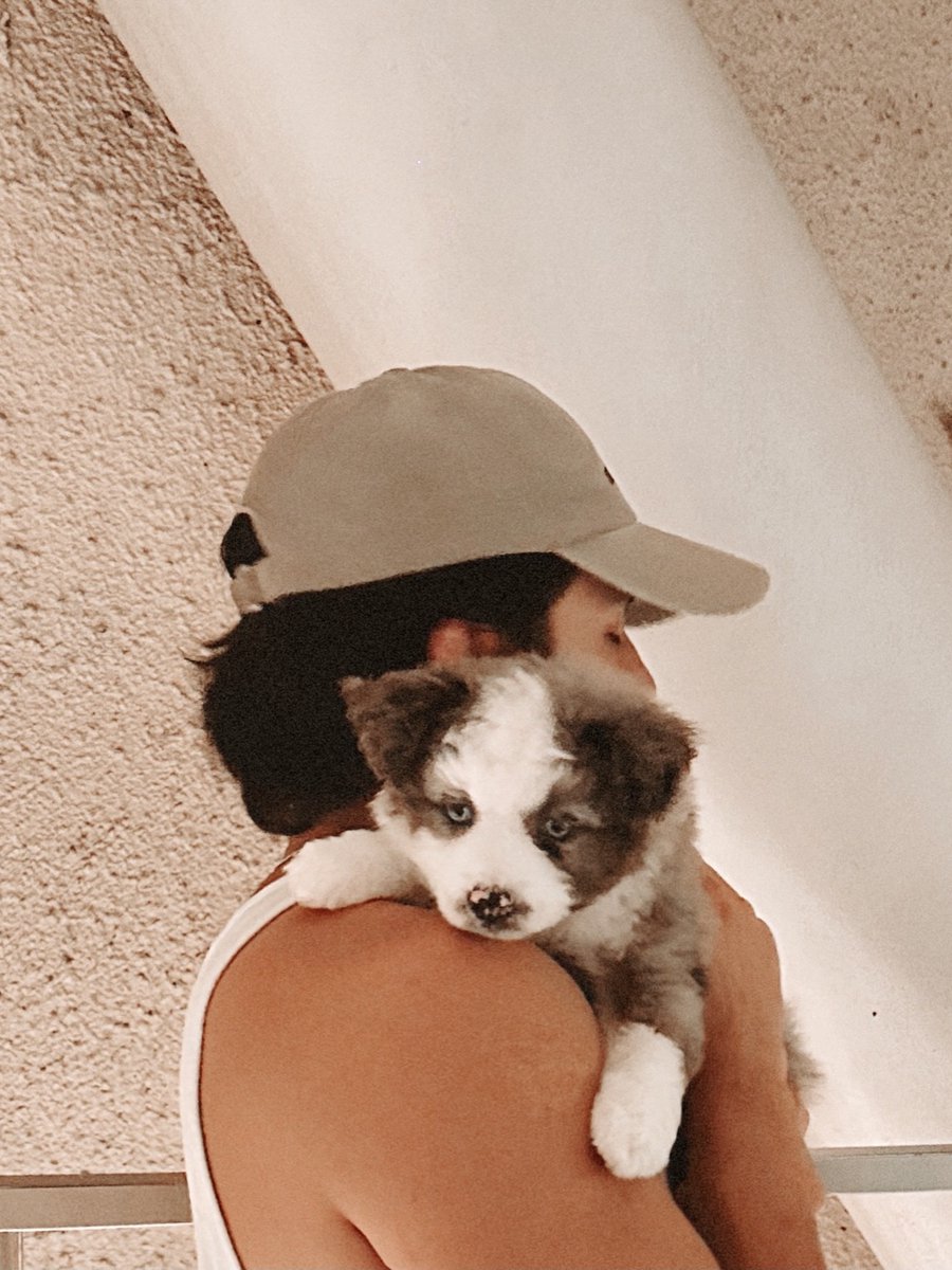 James Reid ❤ BTS tweet media