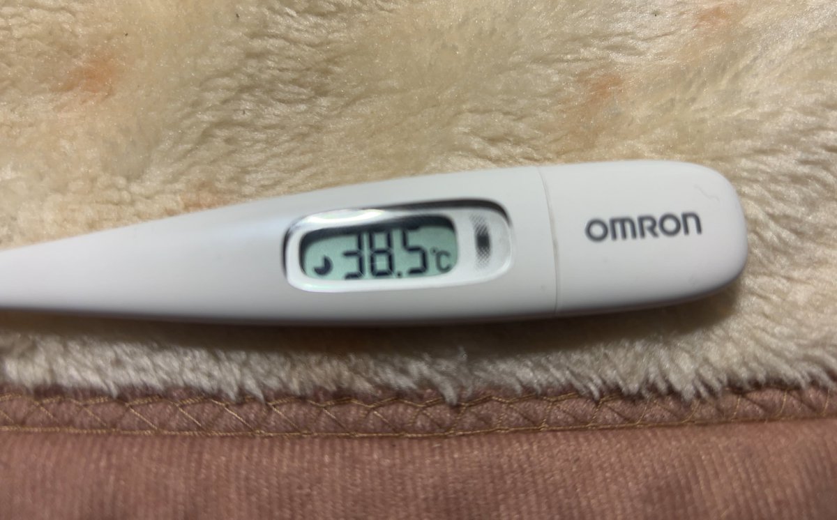 空乃ひめか🌈🐻໊🤍 tweet media