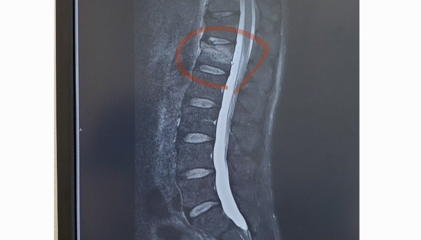 つったら@飯能-28,29神立 tweet media