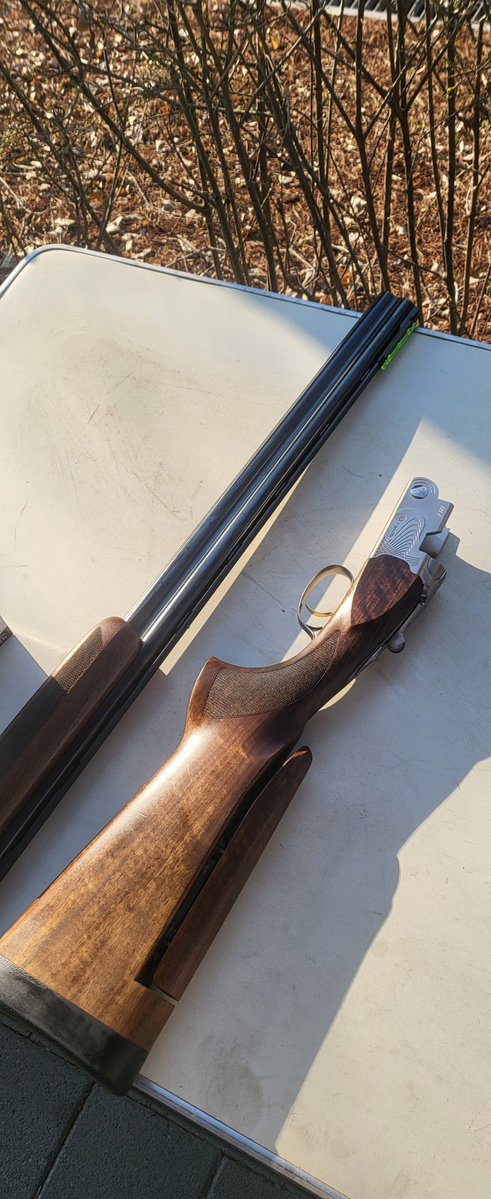 통구이치킨 (키보토스 클라우드) tweet media