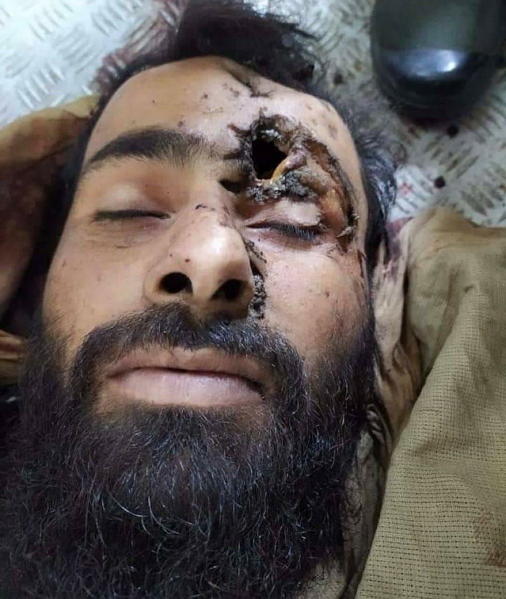 77 BIHAR SF tweet media