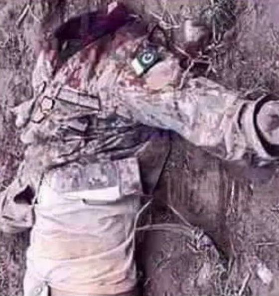 77 BIHAR SF tweet media