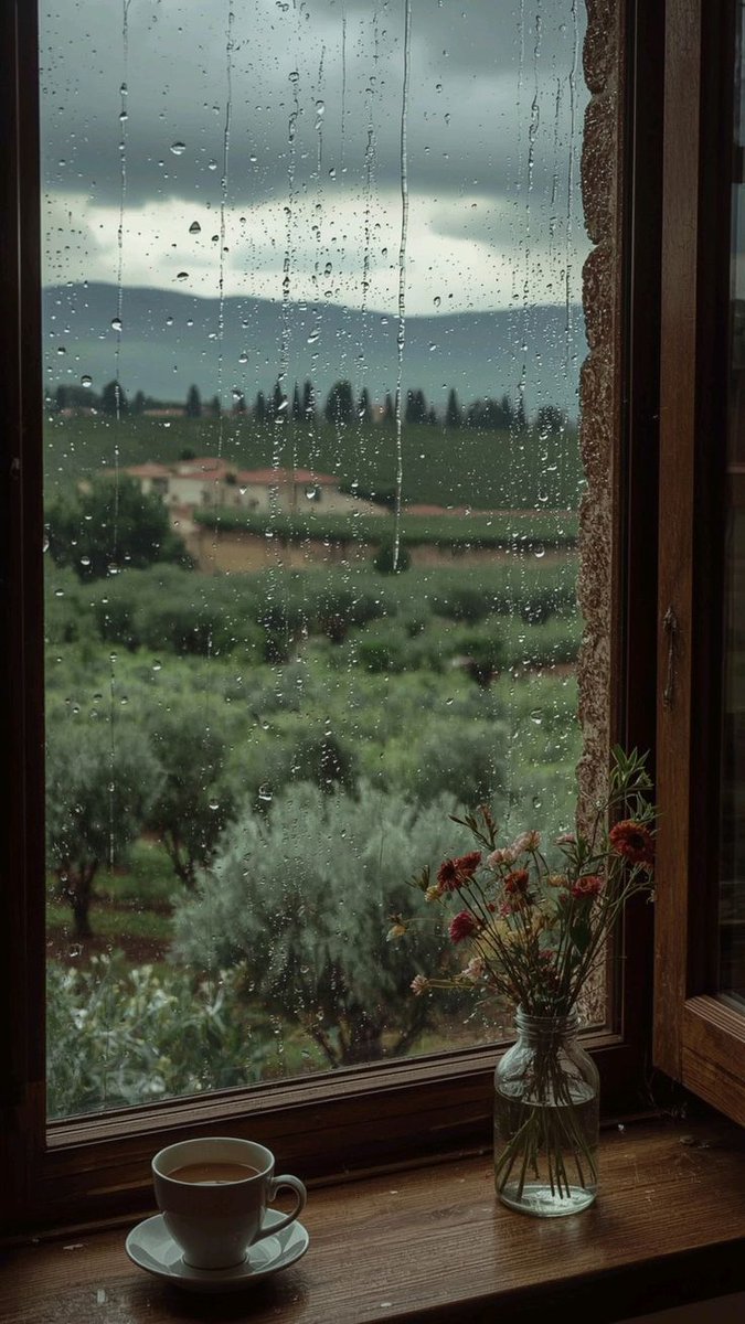 إبن تيمـور 🇴🇲 tweet media