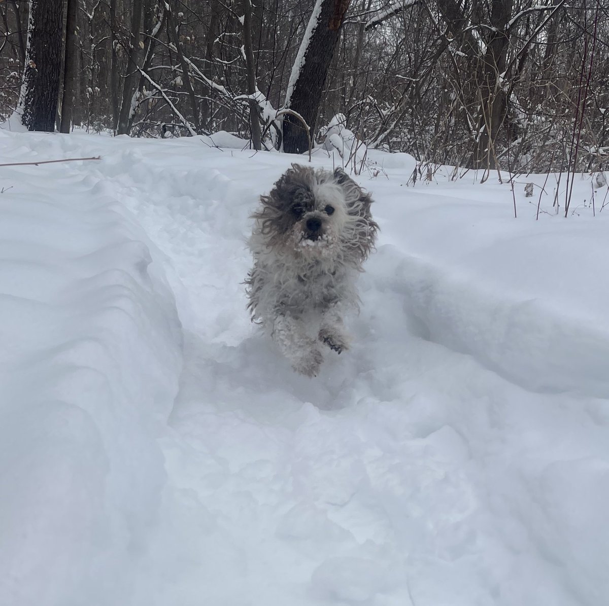 G R ᛃ ⚠️ tweet media