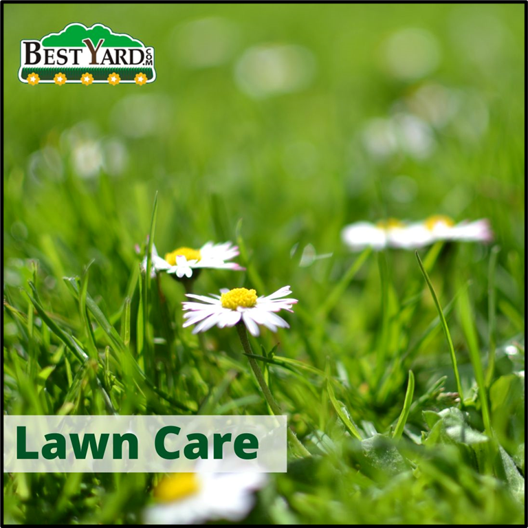 bestyardcom's tweet photo. Looking for reliable lawn care services? BestYardoffers expert mowing, fertilization, weed control, landscaping, and more—all designed to keep your yard healthy and vibrant. Know more - https://t.co/ix9j2MQDYx 
 
 #lawncare #gardening #healthylawn #landscaping https://t.co/qdOaqhY4gw