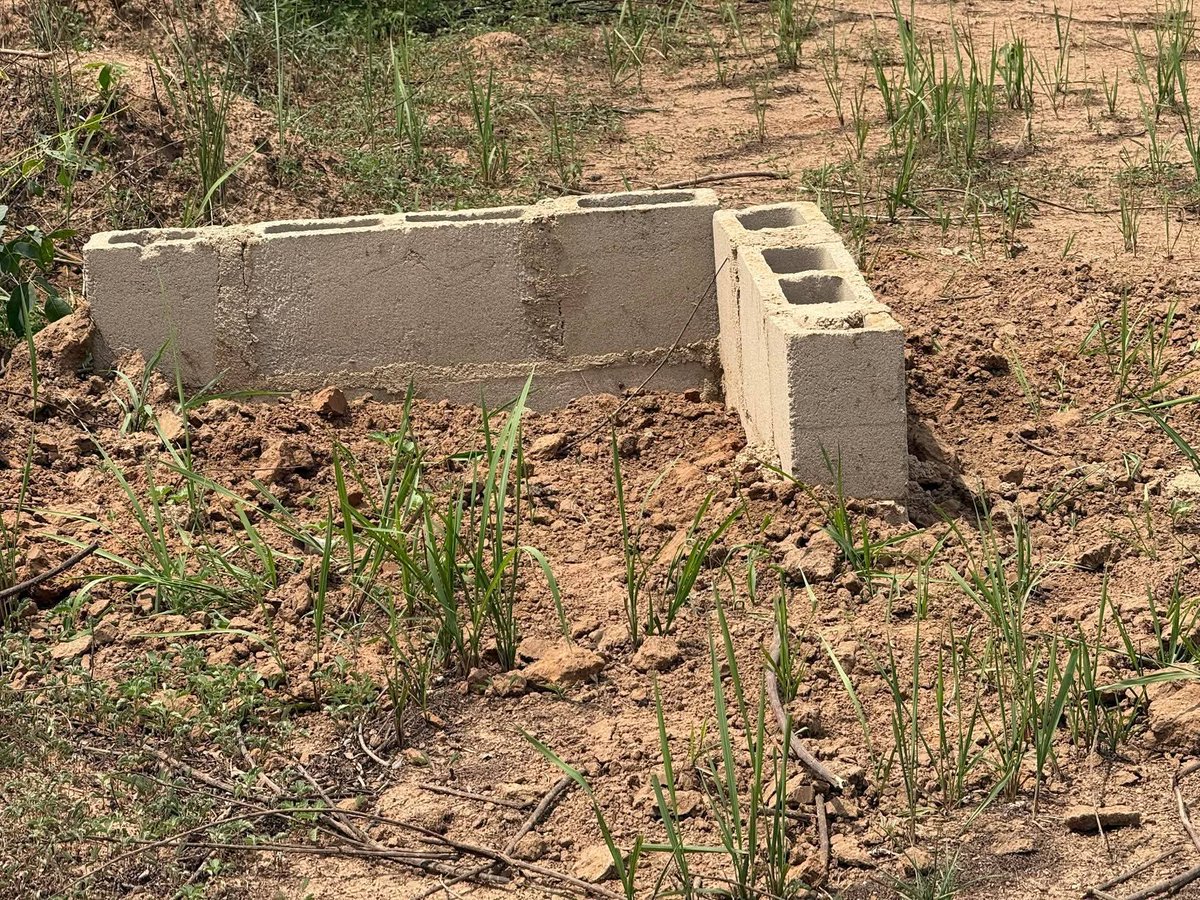 #ImranRoofing & Properties🏠 tweet media