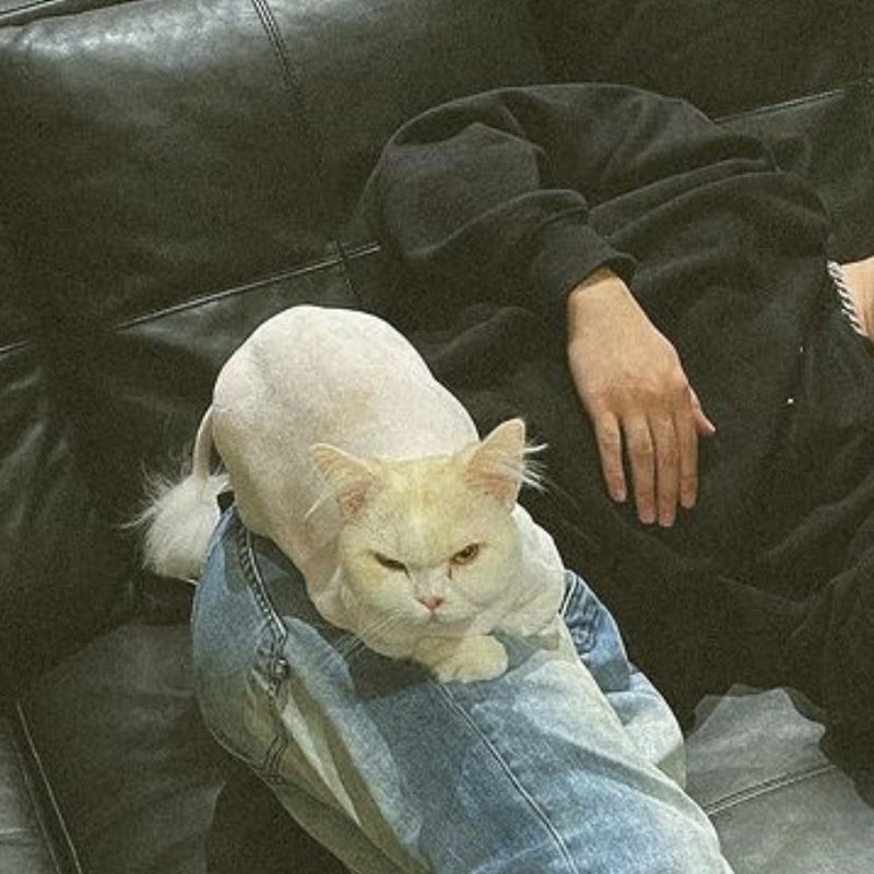 ꒰𝙂𝙐𝙈𝙈𝙔 𝙇𝙀𝙀꒱ tweet media