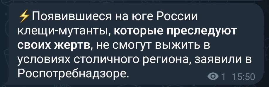 Ультравасилий и кот 𝕏 tweet media