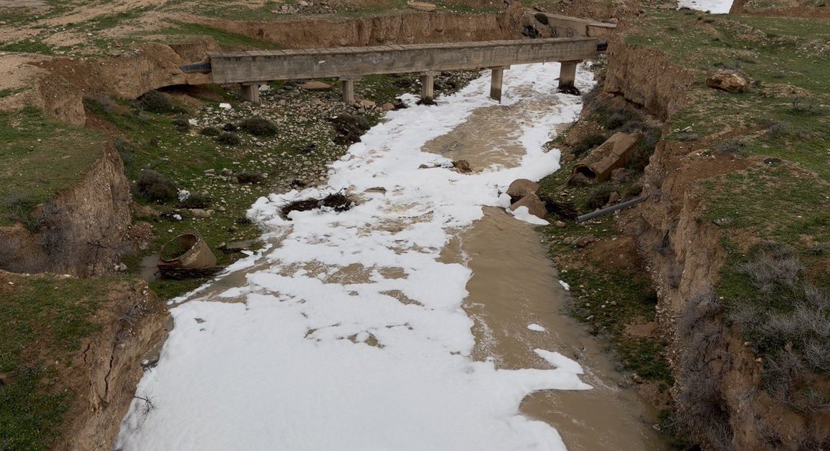 Anas Idrees “ Ahmad Alqusair” tweet media