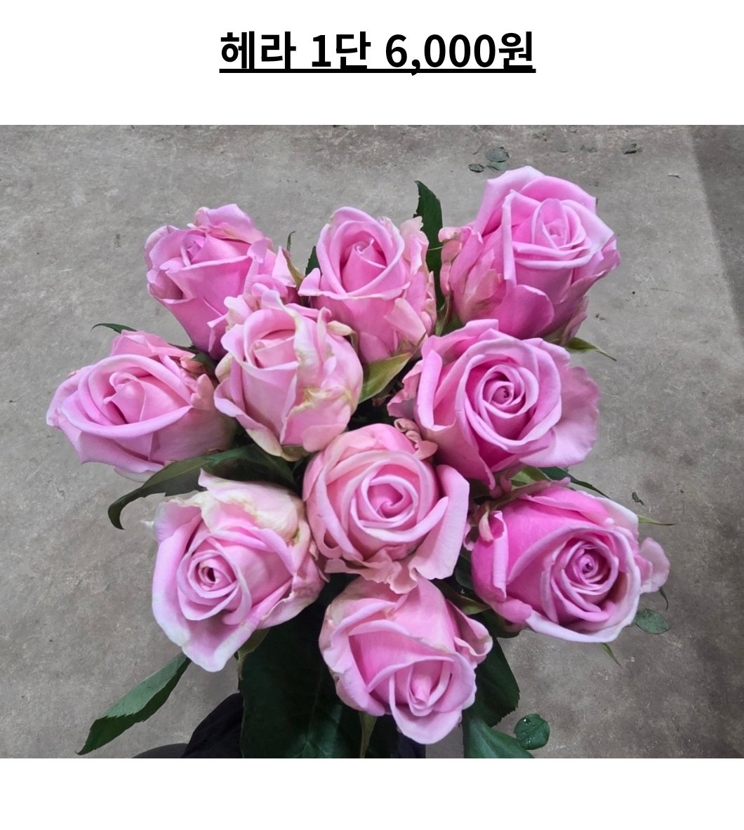 더 살껄 tweet media