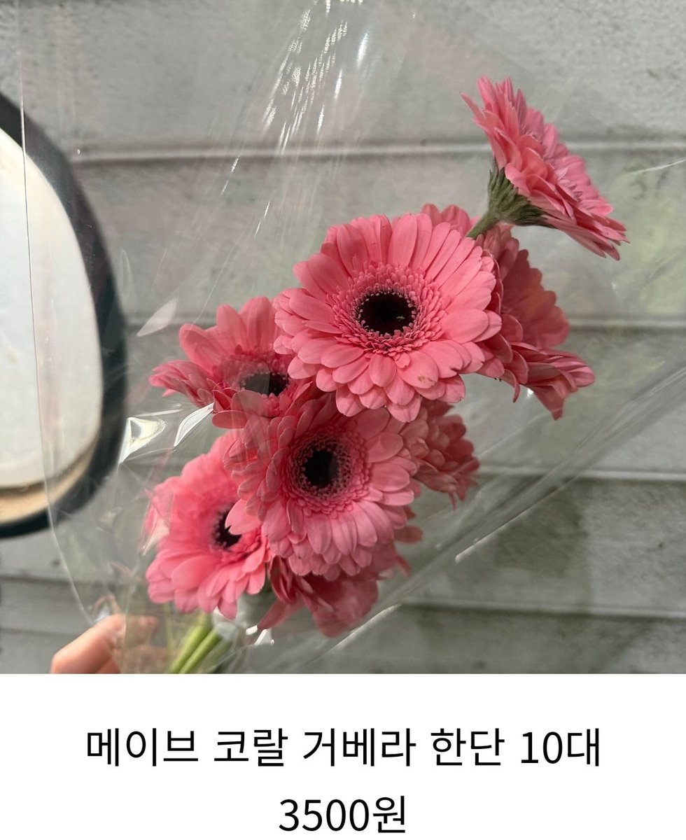 더 살껄 tweet media