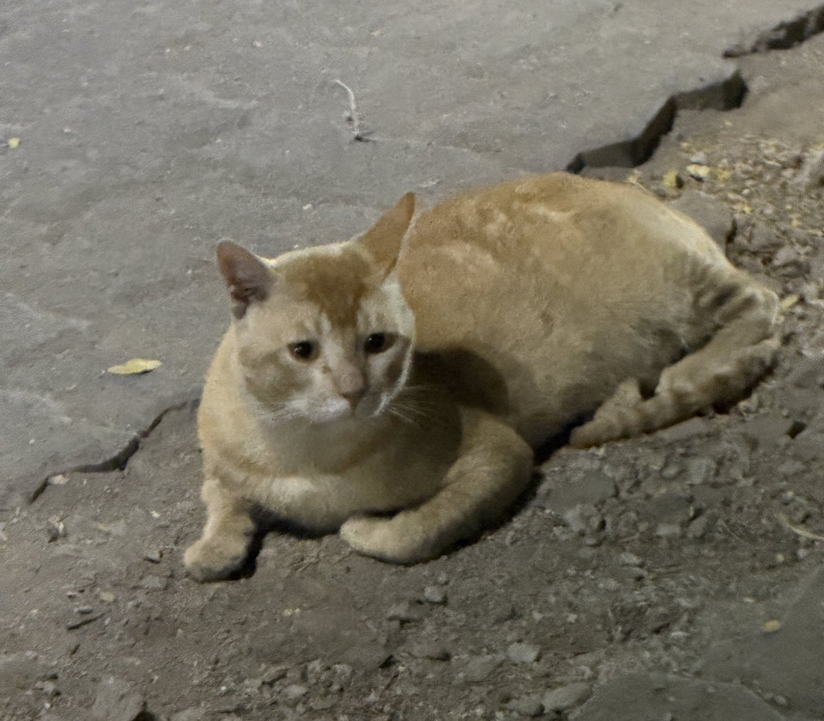 Pulkit Kudiwal tweet media