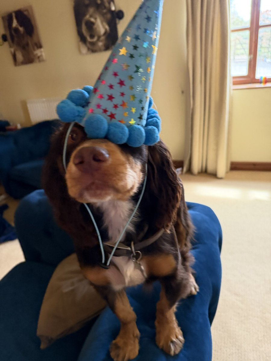 Vinnie & Toby❤️ Jasper🌈 Hartson🌈 tweet media