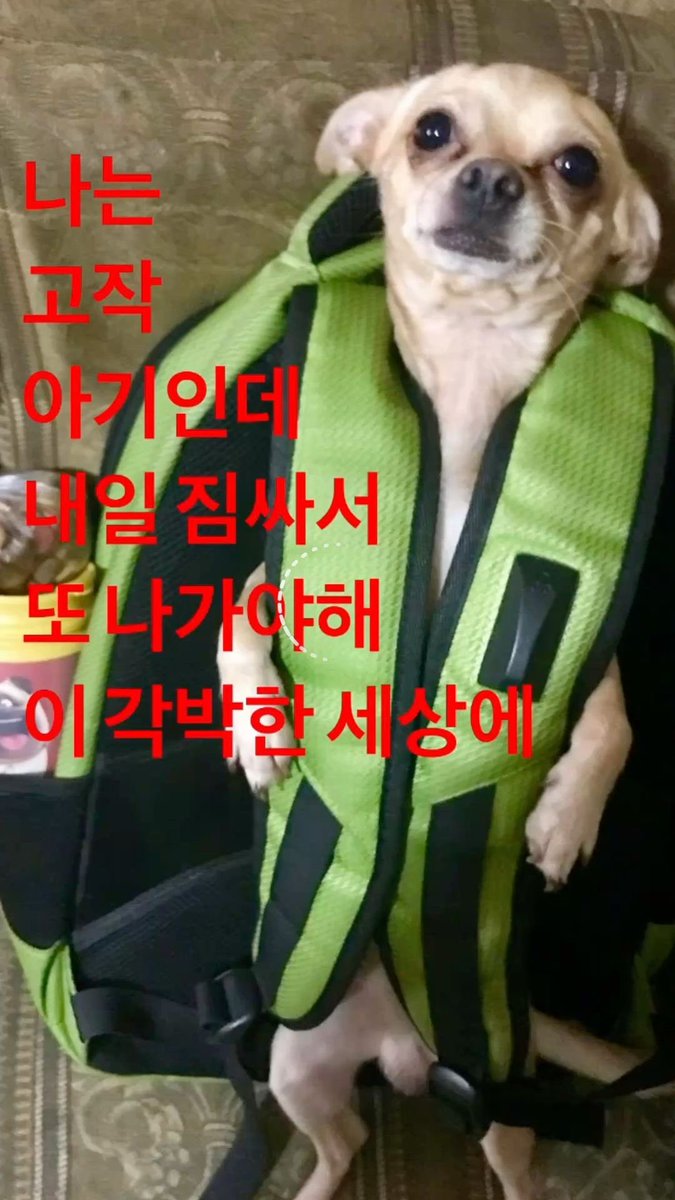 권필쌍 tweet media