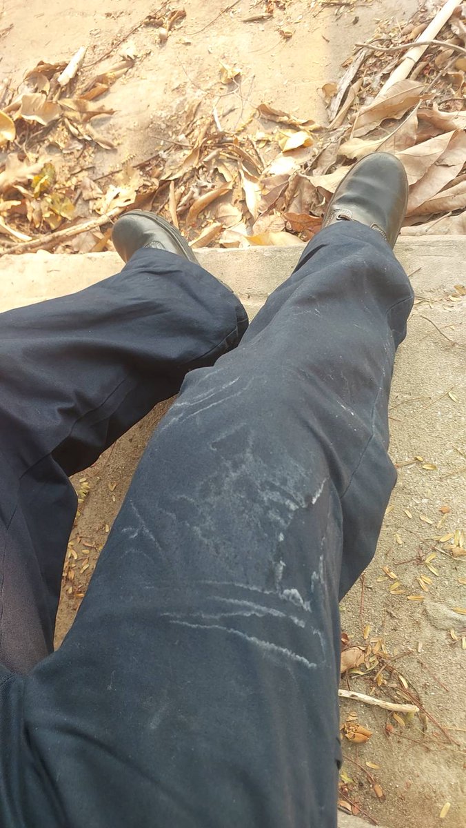 BOSS hugs a bear🐻 ABDL Thailand 🐻 tweet media