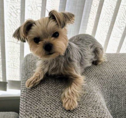 ヤスヒロ tweet media