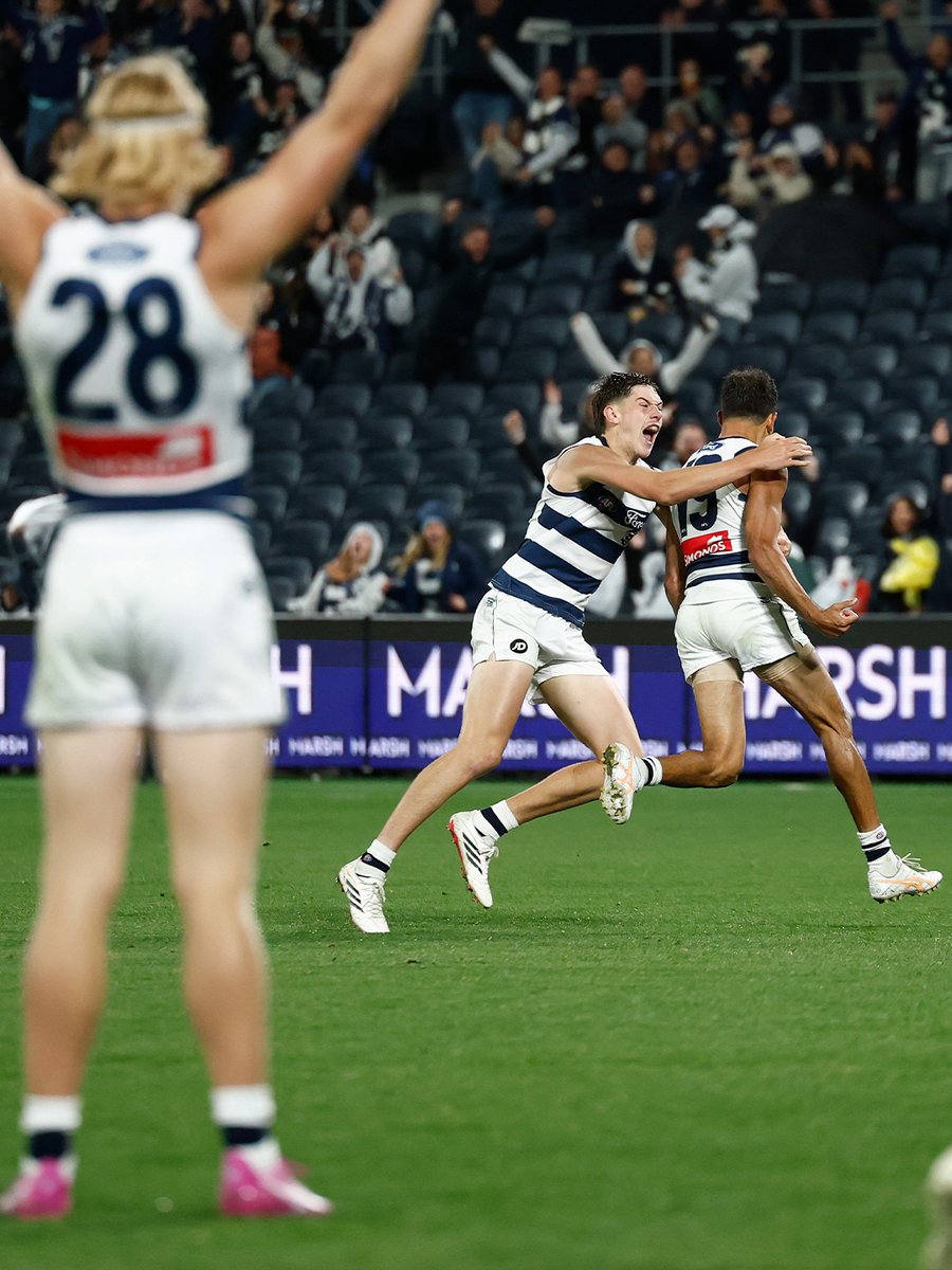 Geelong Cats tweet media